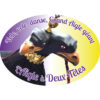 1 autocollant aigle