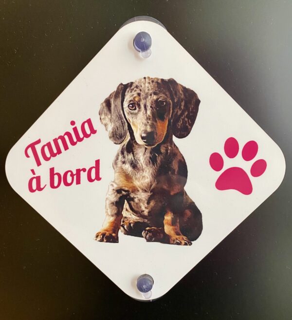 2020 09 11 17.09.06 1 scaled