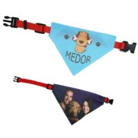 bandana pour chien