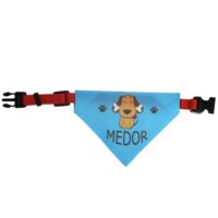 bandana pour chien1