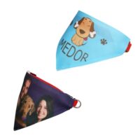 bandana pour chien2