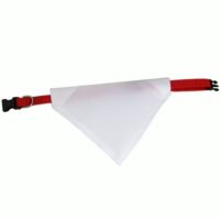 bandana pour chien4