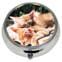 boite pilule ronde argent 1