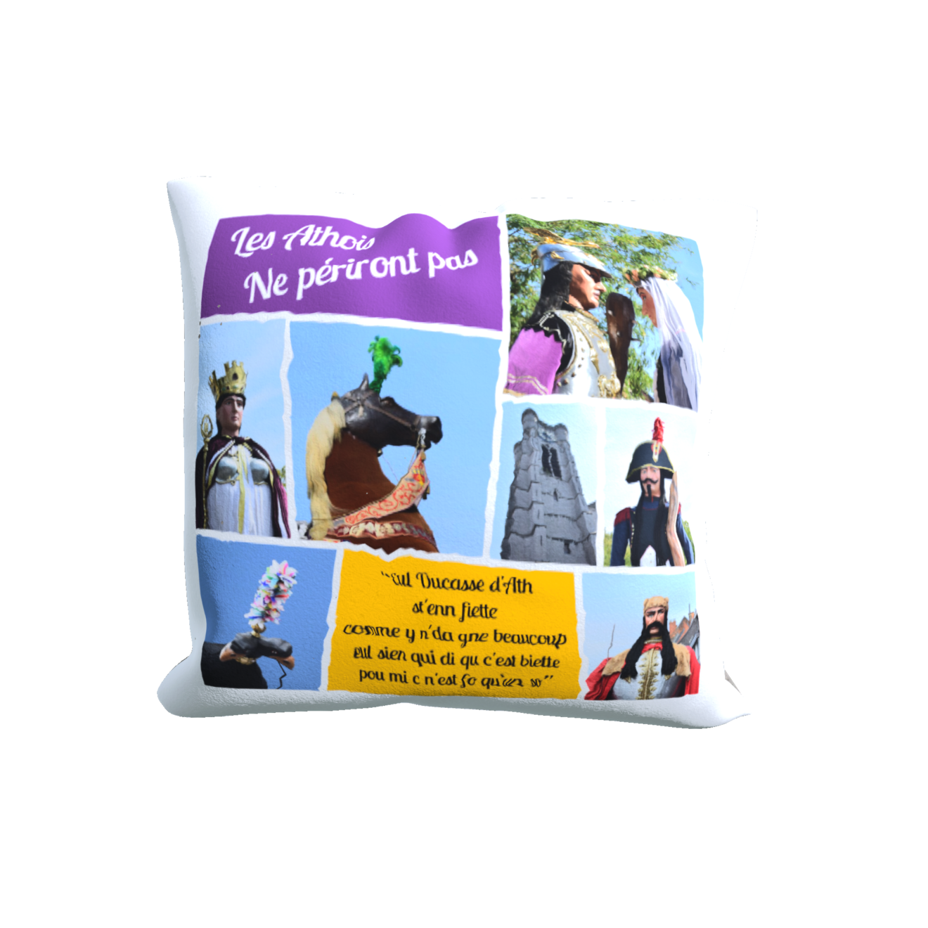 housse coussin ducasse 4