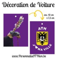 personnalisathion decoration voiture feutre aigle