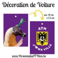 personnalisathion decoration voiture feutre bayard
