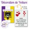 personnalisathion decoration voiture feutre blason ath papa