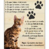 personnalisathion plaque de rue vertical chat