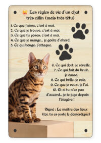 personnalisathion plaque de rue vertical chat