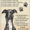 personnalisathion plaque de rue vertical chien