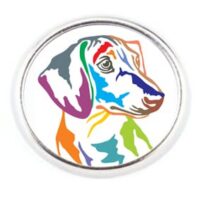 pins personnalise teckel