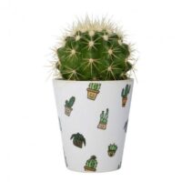 pot fleurs 3