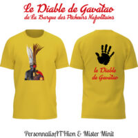 sauvage diable 2025 v5 final